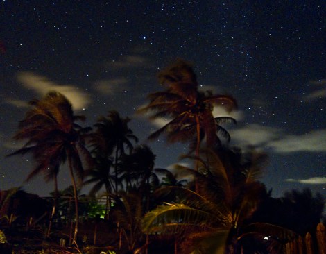 Palmeras y estrellas