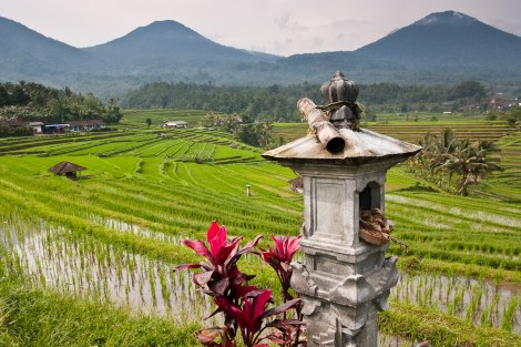Arrozales de Jatiluwih