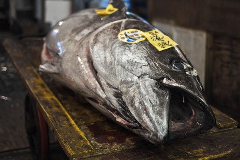 Tsukiji