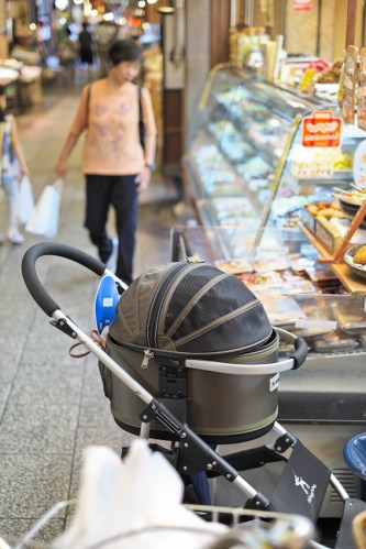 pero el susto te lo llevas cuando el bebé empieza a ladrar y te das cuenta que estás frente a un carrito para el perro!