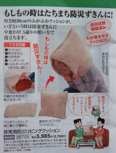 y la funda de cojín que, sí, como las demás sirven para taparse la cabeza... Algo más debe hacer porque vale casi 60 euros... ¿A alguien se le ocurre?