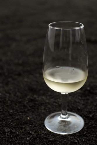 Vino de Lanzarote