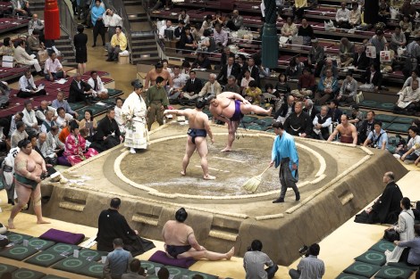 Sumo