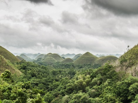 Chocolate hills