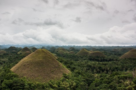 Chocolate hills