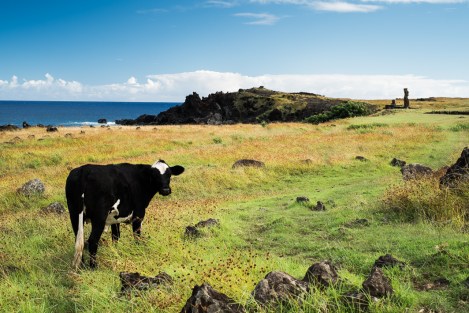 Isla de Pascua Tahai