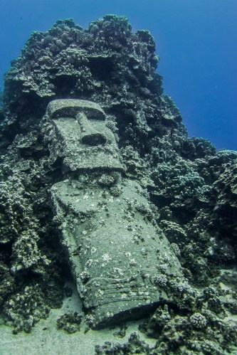 Inmersión Isla de Pascua