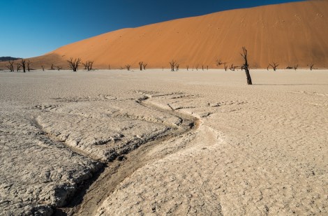 Deadvlei