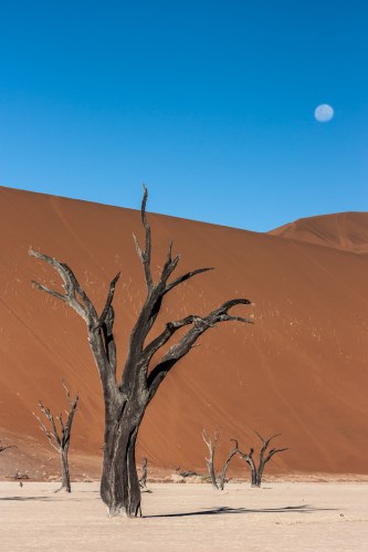 Deadvlei