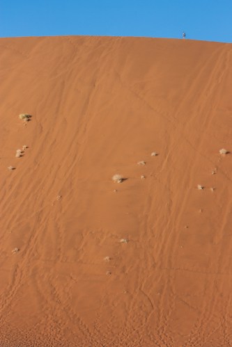 Arena del Namib, Namibia