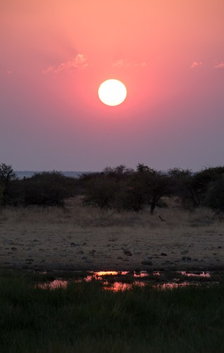 Atardecer Etosha