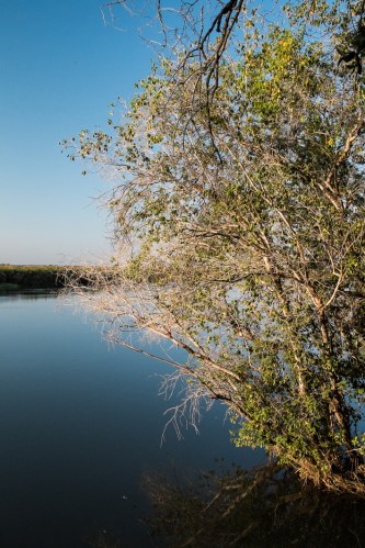 Kavango Panhandle Botswana