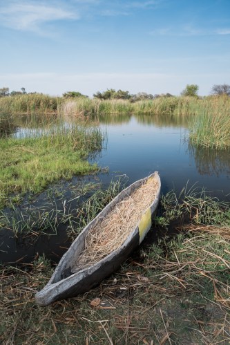 Mokoro Delta del Okavango