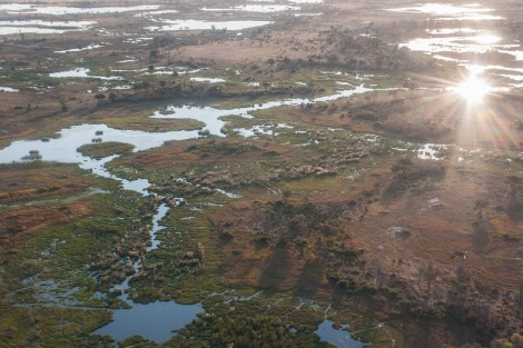 Delta Okavango