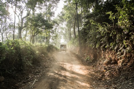 Camino Coorg