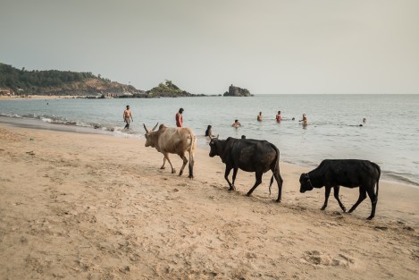 Om beach, Gokarna, India