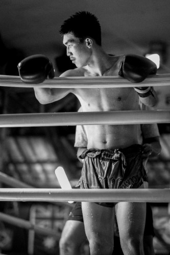 Muay Thai, Chiang Mai