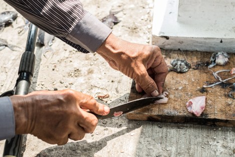 Pescador en Pulau Weh