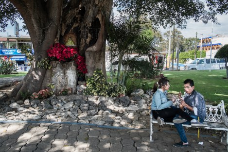 Santa María de Tule