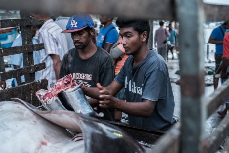 Trabajadores en el mercado de pescado