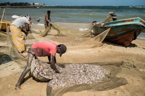 Pescadores en la playa de Negombo