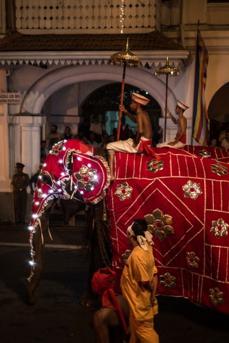 Elefantes en el Esala Perahera
