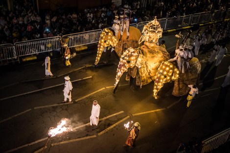 Elefantes en el Esala Perahera