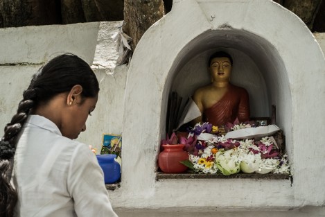 Rezando en Kandy, Sri Lanka