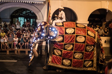 Elefante en el Esala Perahera