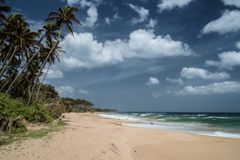 Playa Sri Lanka