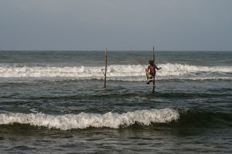 Pescador en un palo, Sri Lanka