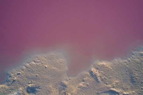 Laguna rosada