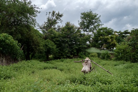 Campesino en Palenque