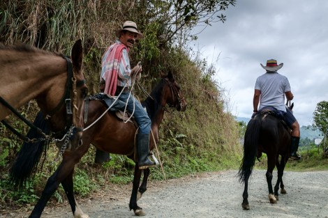 Salento, eje cafetero